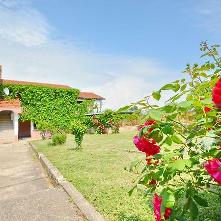 Apartmani Maca Sikovo Dış mekan fotoğraf