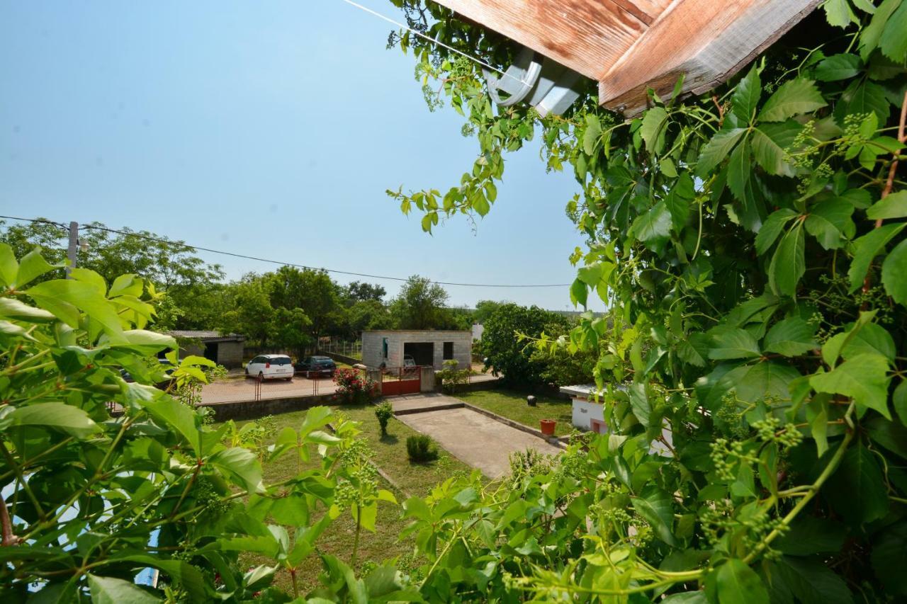 Apartmani Maca Sikovo Dış mekan fotoğraf