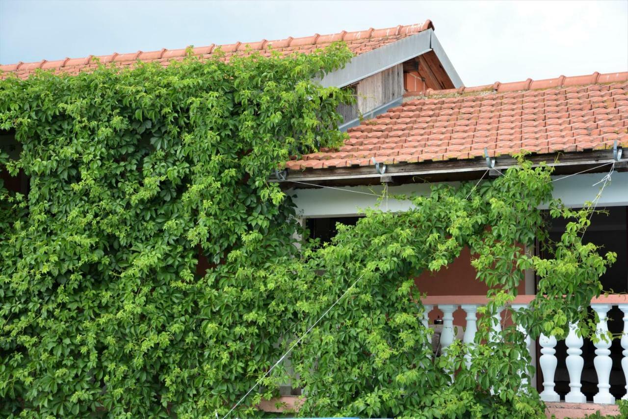 Apartmani Maca Sikovo Dış mekan fotoğraf