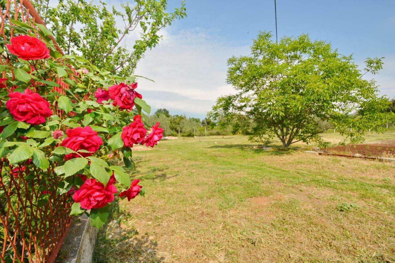 Apartmani Maca Sikovo Dış mekan fotoğraf